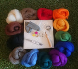 Needle Felting  Starter Kit