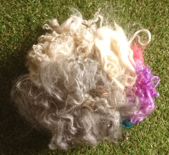 Bargain 2nds, Mixed UK Breed Curly Locks
