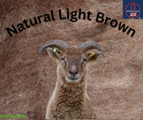 Carded Batts - Natural undyed