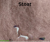 Carded Batts - Individual colours - Fast Felting - Larger quantities