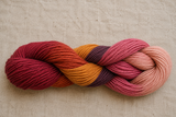 Natural Dyeing 'Experimenter's' Starter Kit for Natural Fibres 150g, 6 dyes