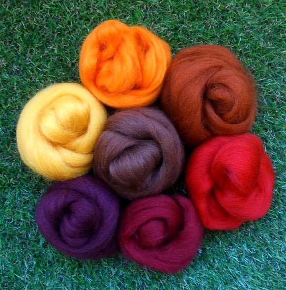 Felting Wool - Autumn Tones