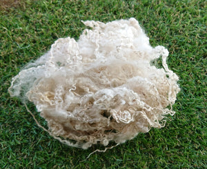 Blue Faced Leicester Natural White/Oatmeal Curly Locks