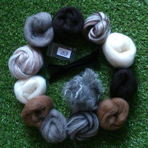 Natural 3D Animal Needle Felting Booster Kit