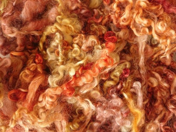 Teeswater Autumn Curly Locks