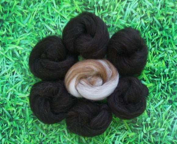 Natural Felting Wool- Natural Black and Blended Collection