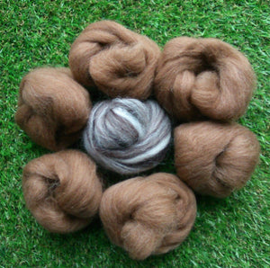 Natural Felting Wool- Natural Brown & Blend Collection