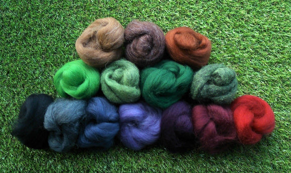 Felting Wool - Enchanted Forest