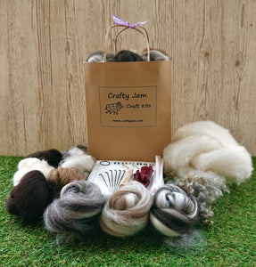Natural 3D Animal Needle Felting Starter Kit