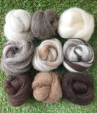 Natural 3D Animal Needle Felting Starter Kit -Boxed