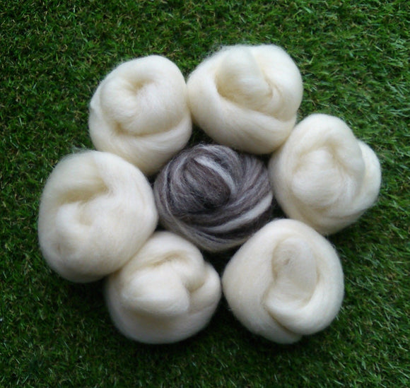 Natural Felting Wool- White and Blended Collection